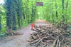 Auf dem Steinhausener Weg im städtischen Wald haben Aktivisten vor einigen Tagen   wieder Barrikaden aufgebaut. Auch sind wieder  vereinzelt in Bäumen  Plattformen errichtet worden