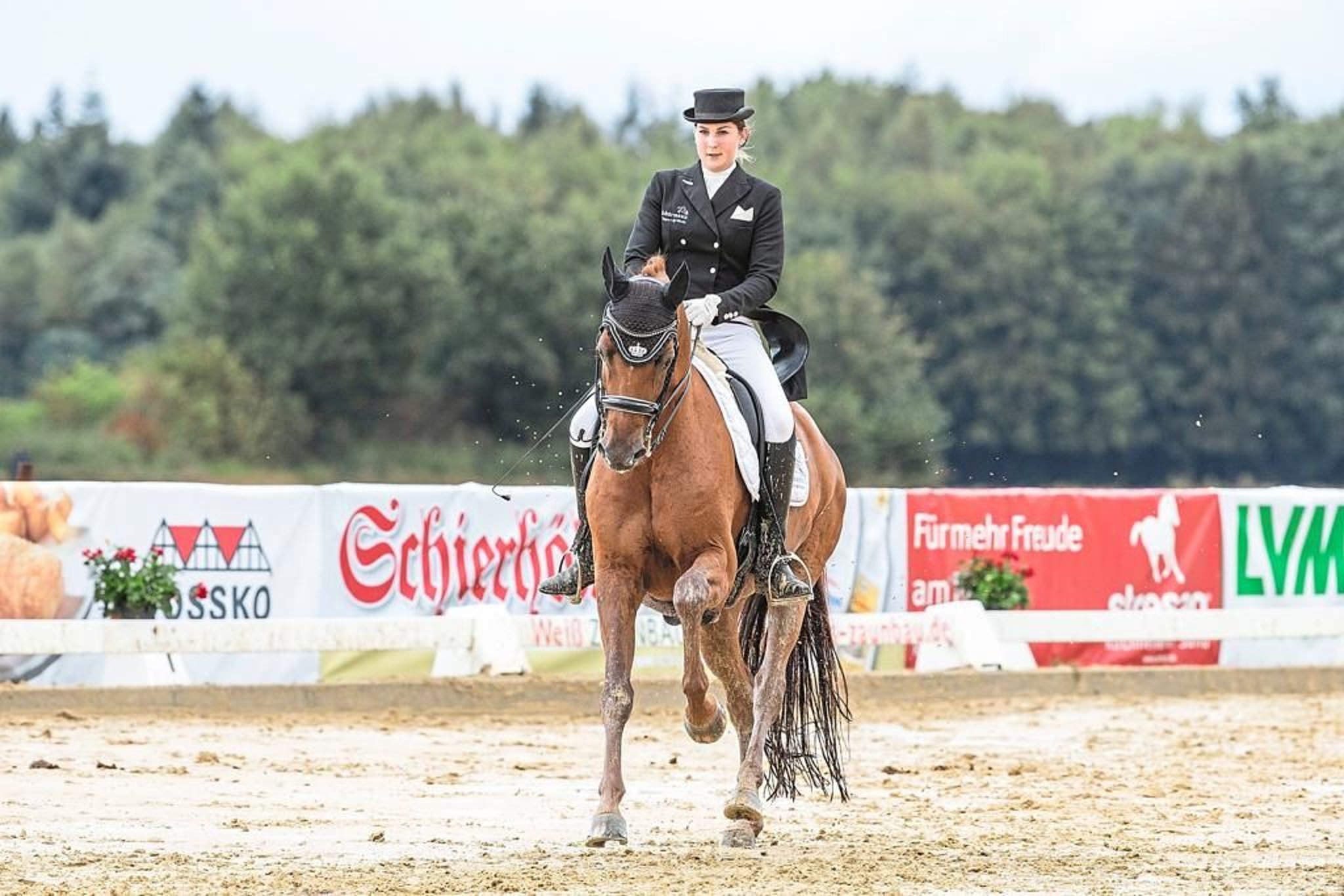 Reiten Turnier des RV Ostbevern
