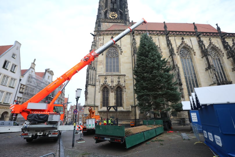 Wie in jedem Jahr kündigt die Lamberti-Tanne auch in diesem Jahr den Beginn der Weihnachtsmärkte in Münster an. Sie starten am Montag (22. November).