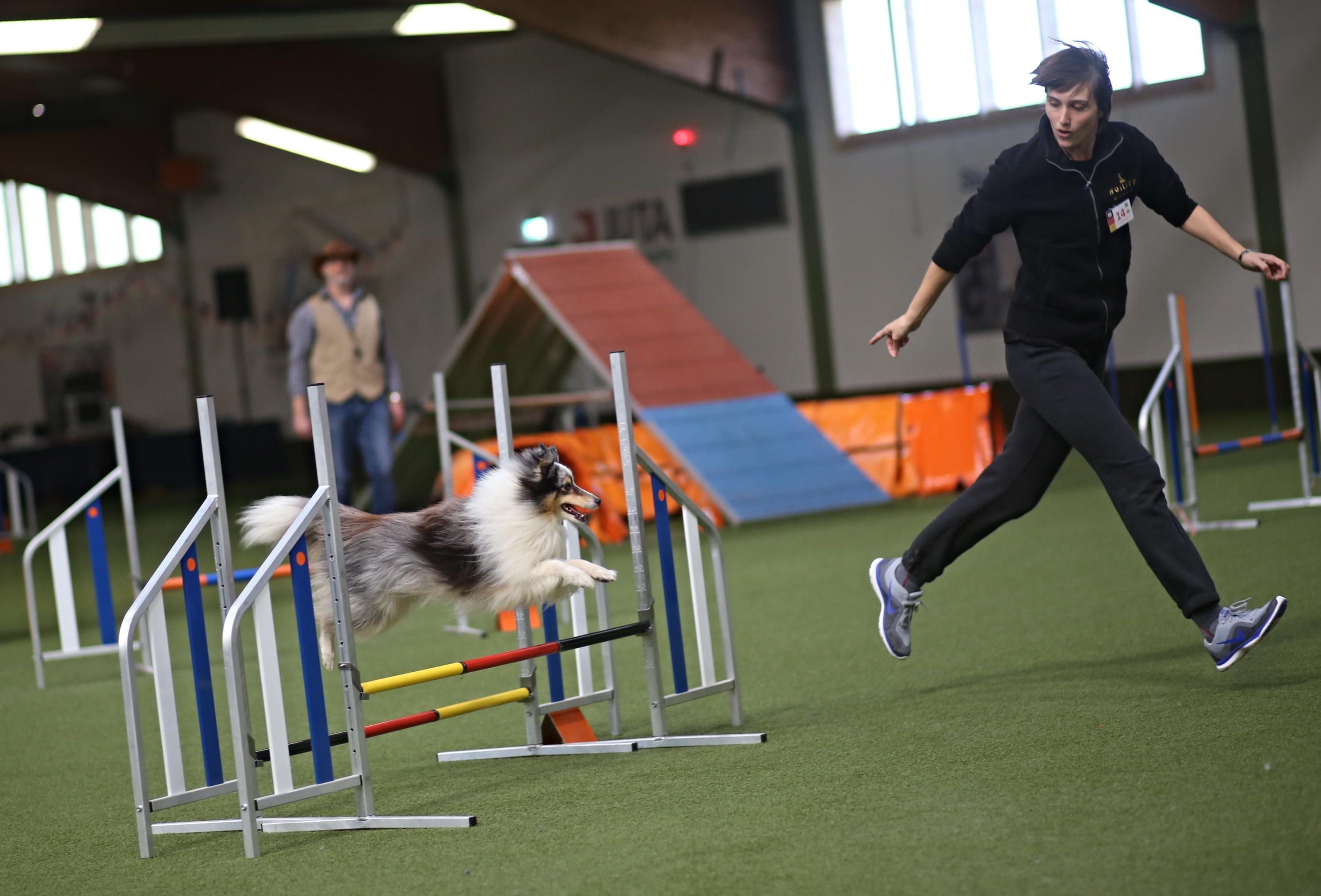 Deutsche Meisterschaft Agility in Nettelstedt