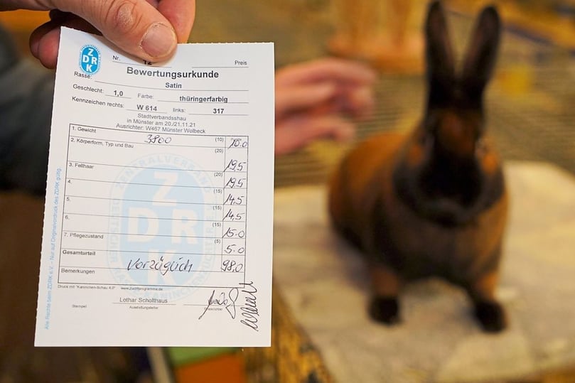 Stadtverbandsausstellung der Rassekaninchen im Begegnungszentrum Meerwiese