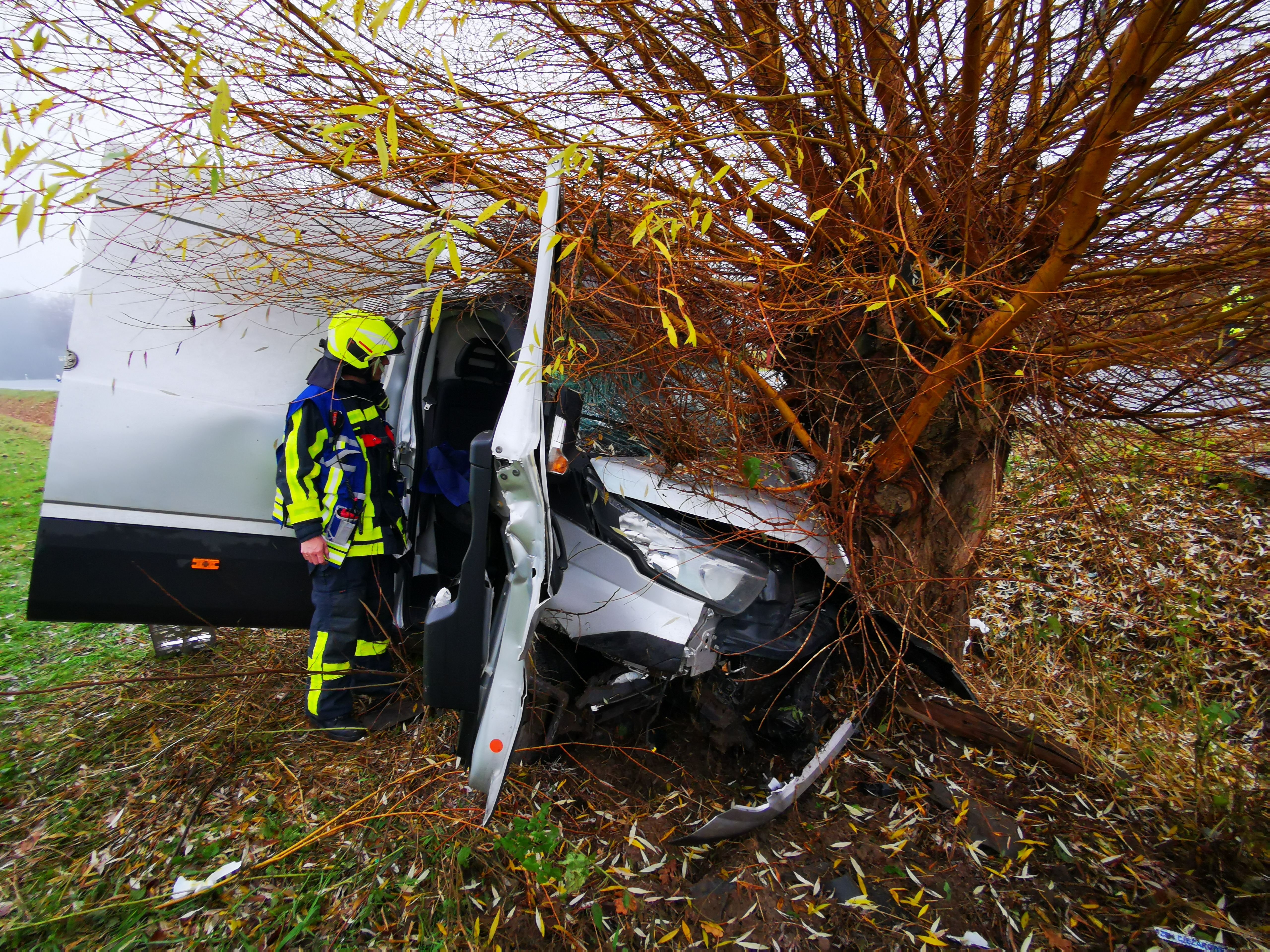 Kleintransporter Kollidiert Mit Baum