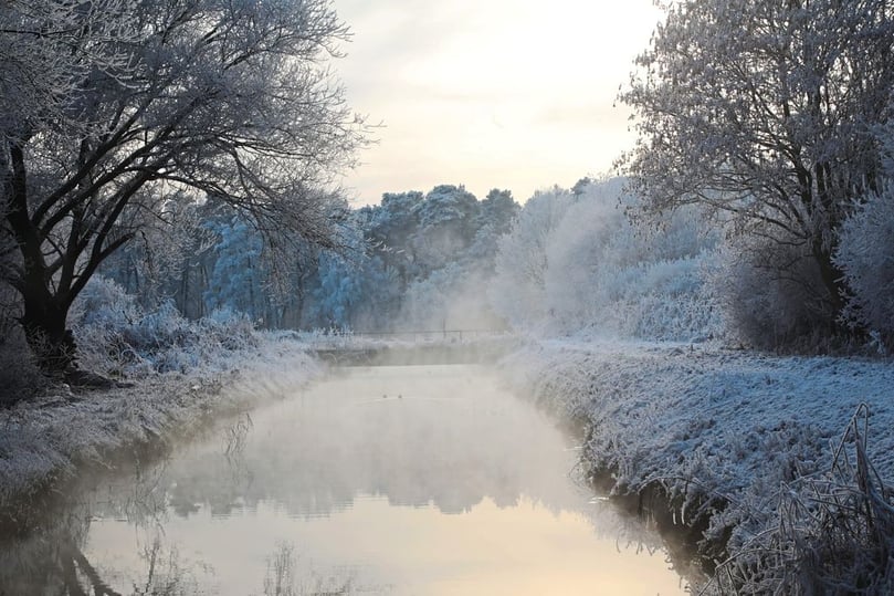 Rieselfelder