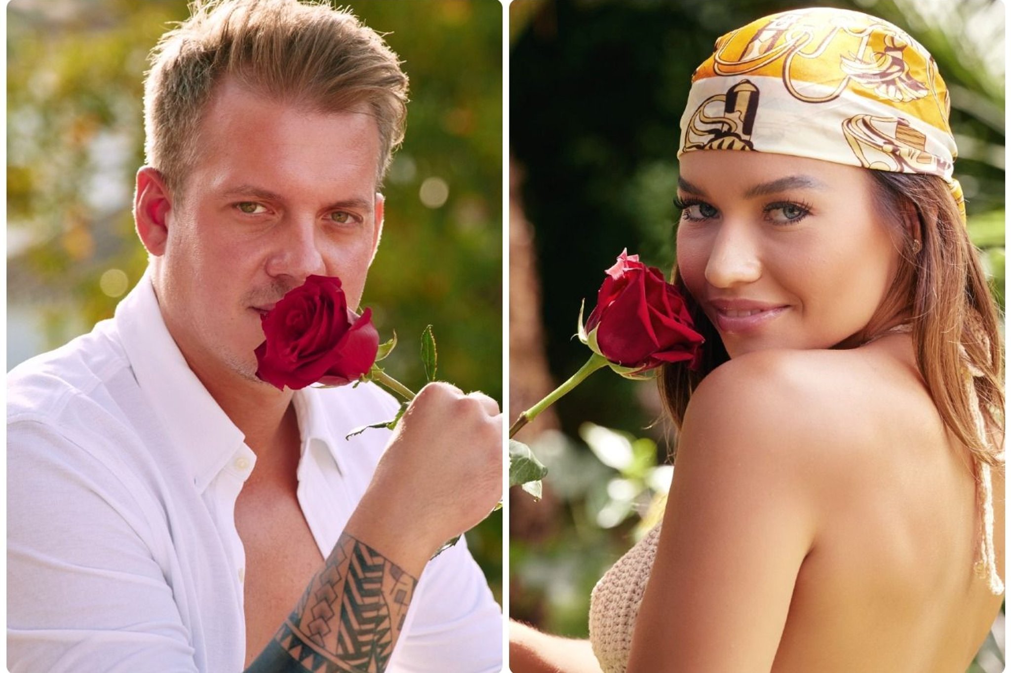 Bachelor In Paradise 2021 Kostenlos Anschauen