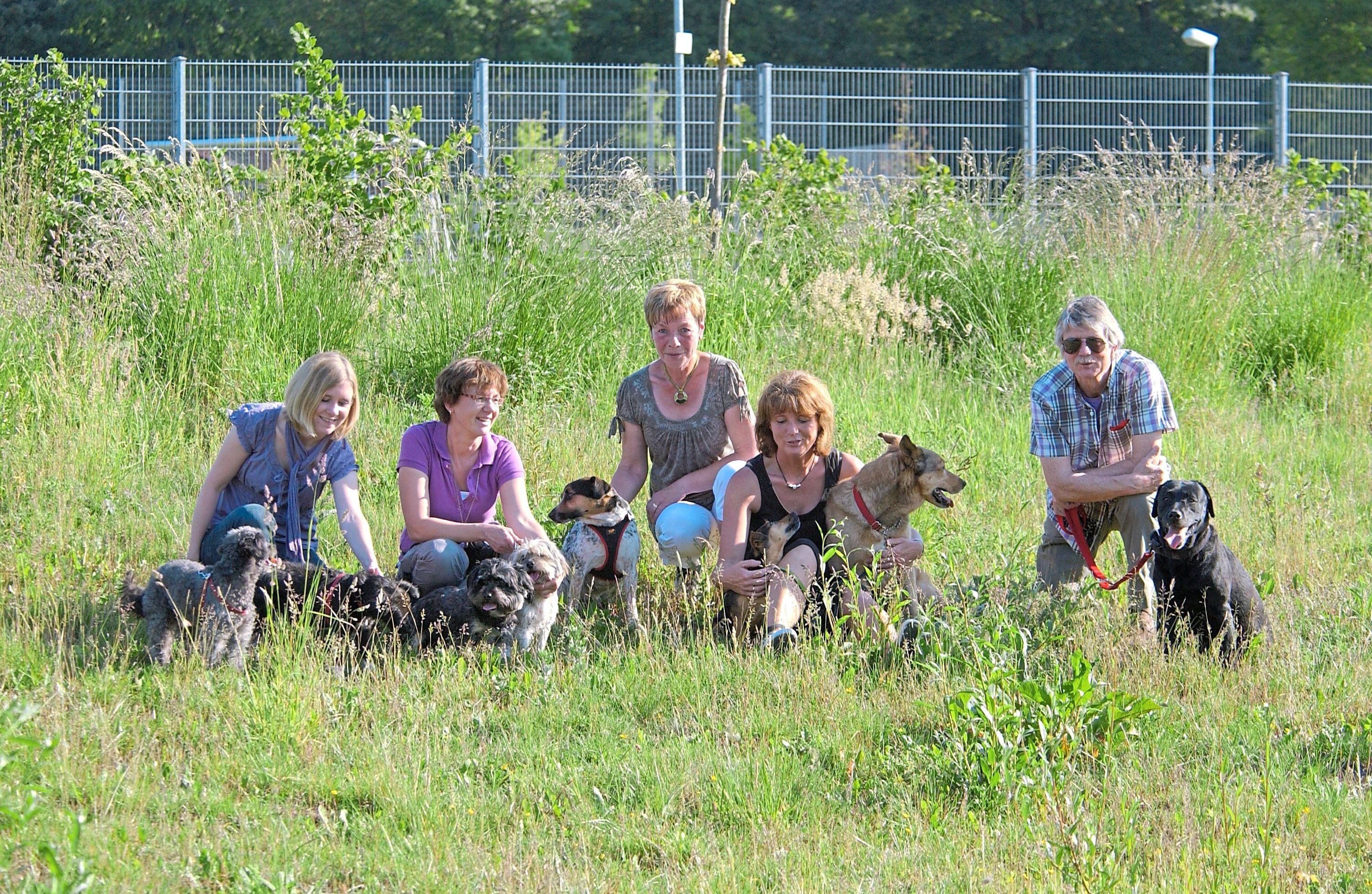 Braucht die Stadt eine Hundewiese?