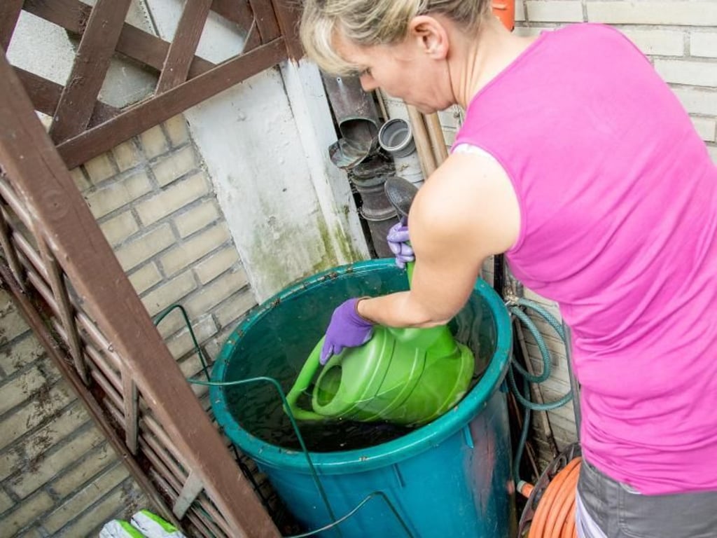 Regenwasser und Verschattung helfen Gärtnern beim Sparen
