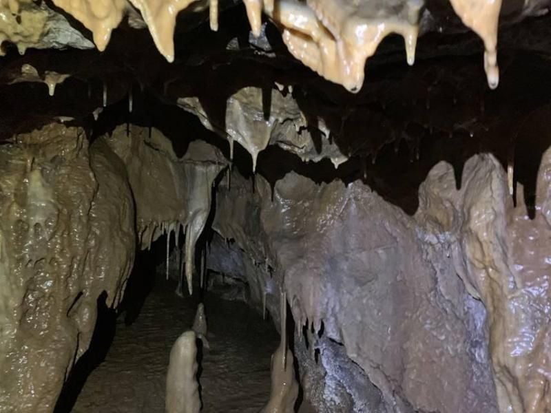 Neu entdeckte «Windloch»Höhle Fünf Kilometer lange Gänge