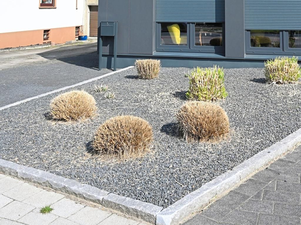 Natur statt Schottergärten