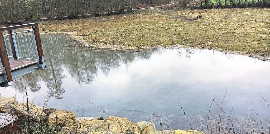 „Teich ist schlichtweg nicht zu retten“