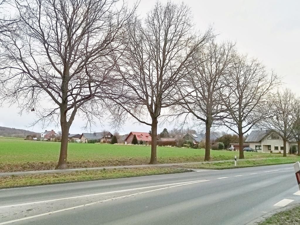 Wehdem braucht mehr Bauland aber wo?