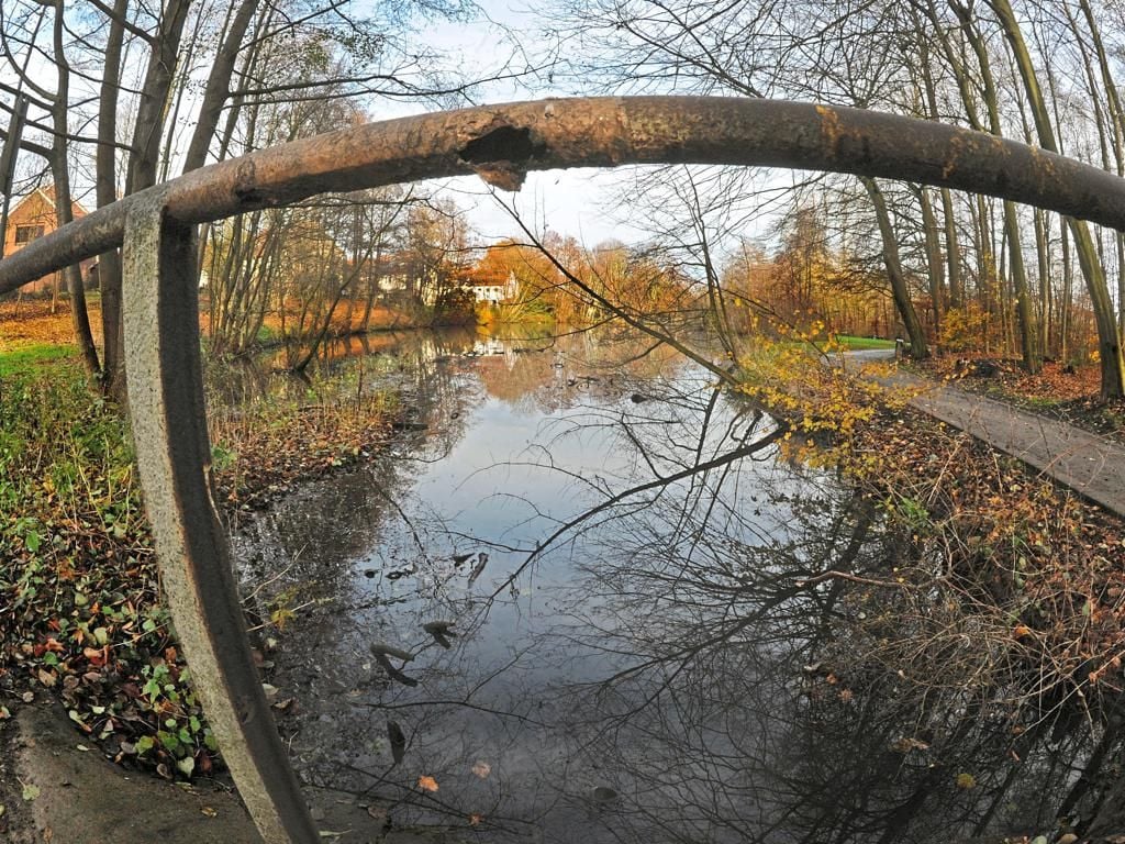 Der KippsHofTeich „kippt“