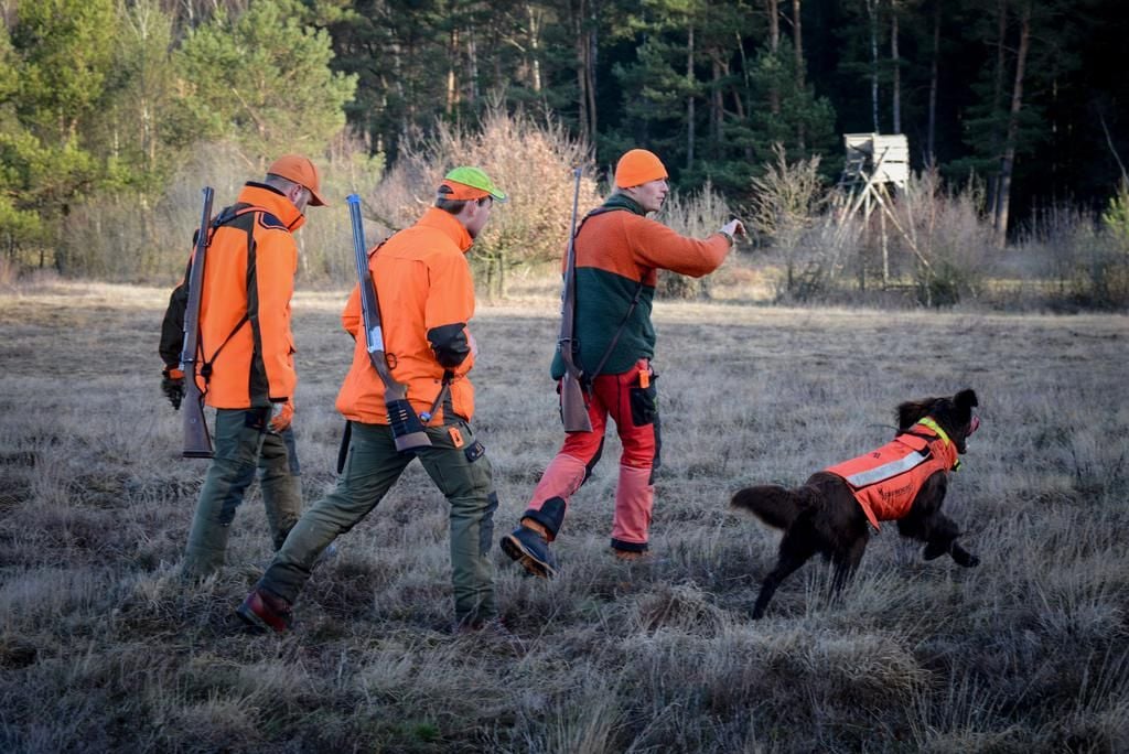 Auf Wildschweinjagd Im Naturschutzgebiet