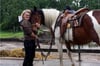 Ein Foto aus besseren Tagen: Dagmar Schlinke-Demski mit ihrem Kalle. Das Pferd ist in der Nacht zu Samstag gestohlen worden.