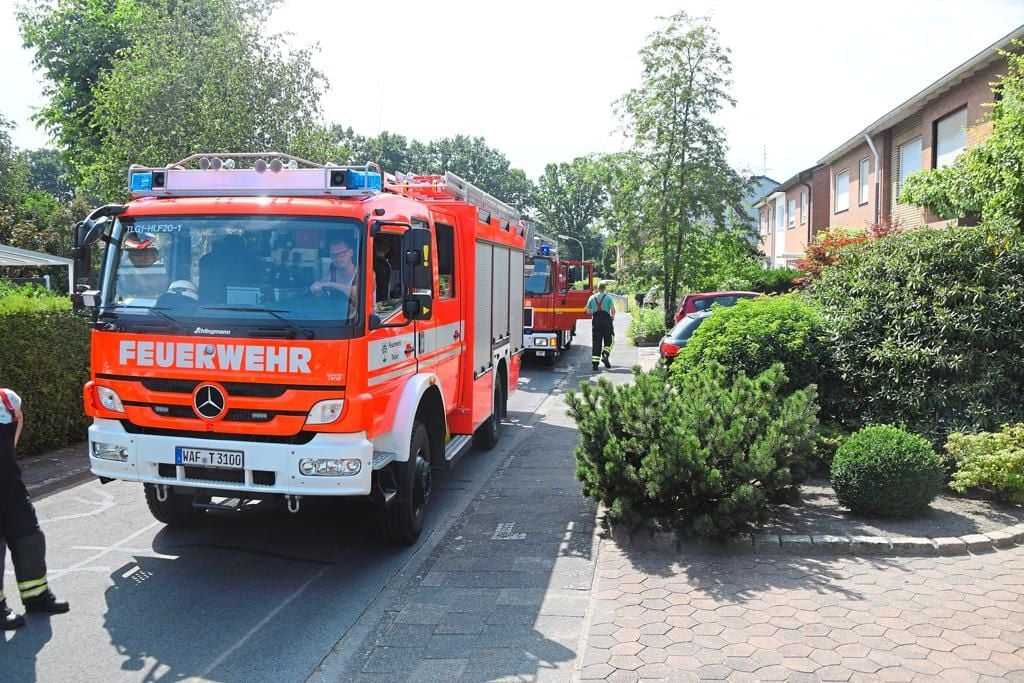 Essen Auf Dem Herd Vergessen