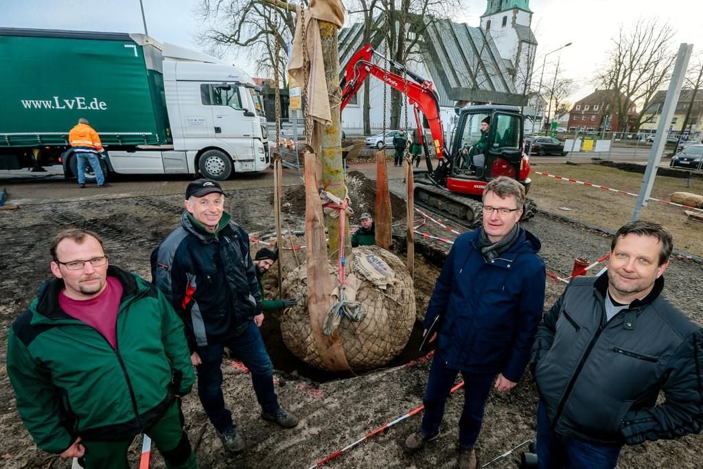 Hier fliegt ein Baum aus Hamburg ein