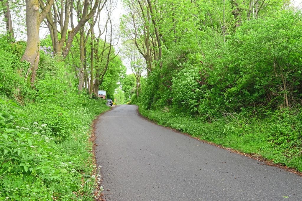 Hohlweg ist jetzt geschützter Landschaftsbestandteil