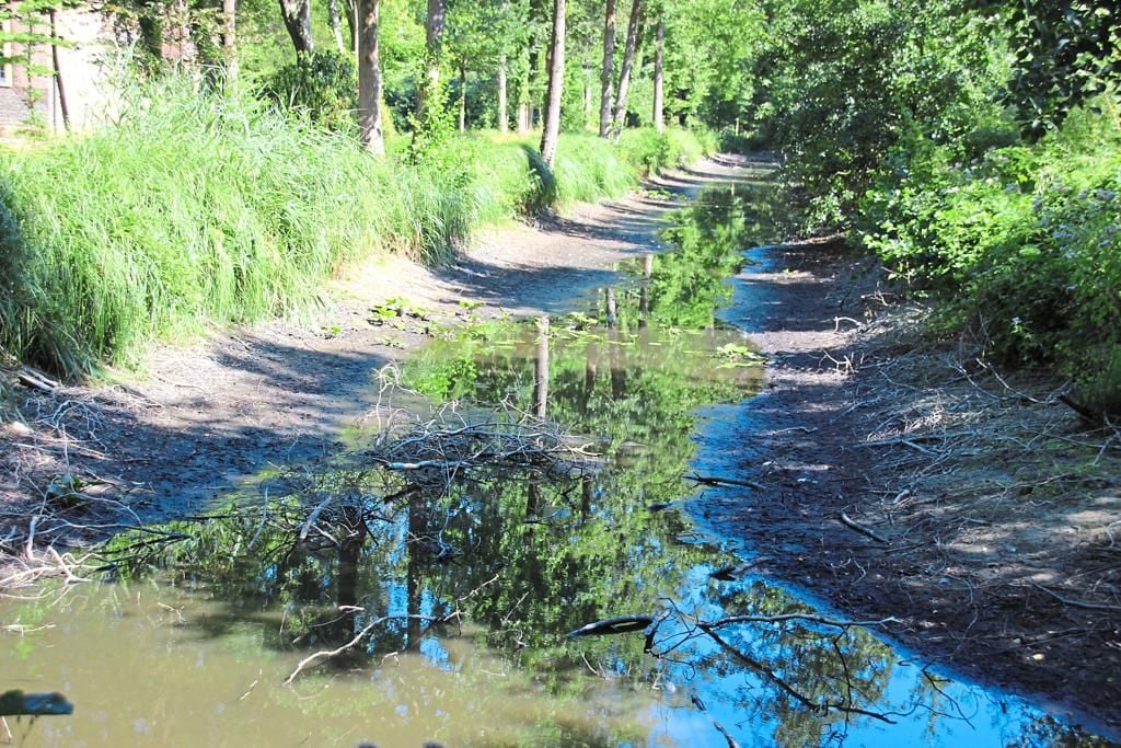 Teich im Stadtpark ist gekippt