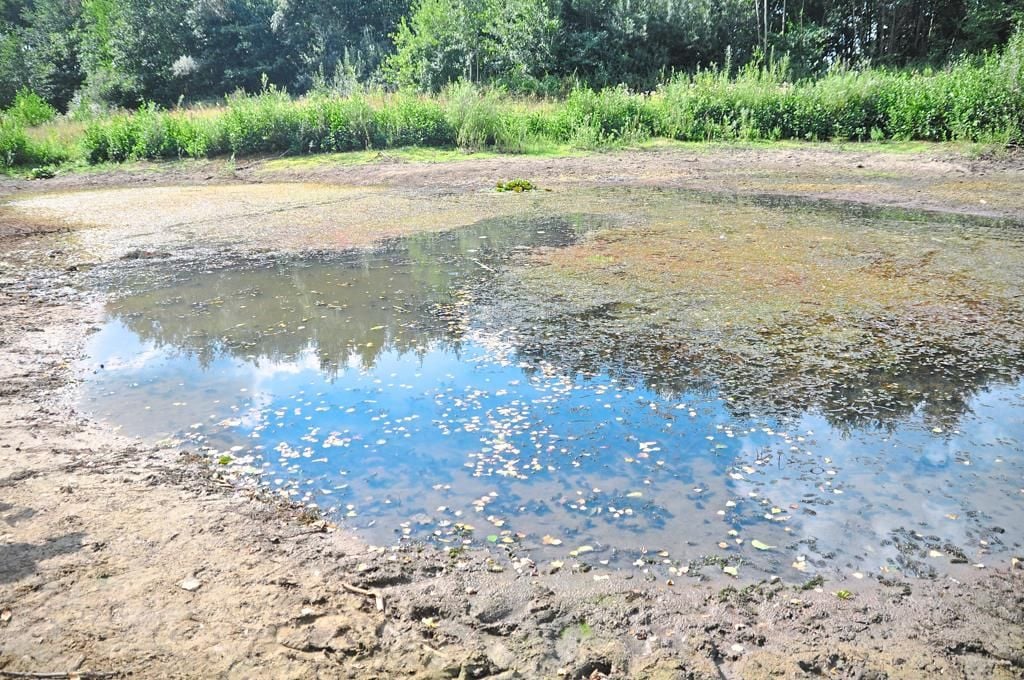34+ Teich Salzen Wieviel, Eine dosierung von 3 kg pro 1000 liter