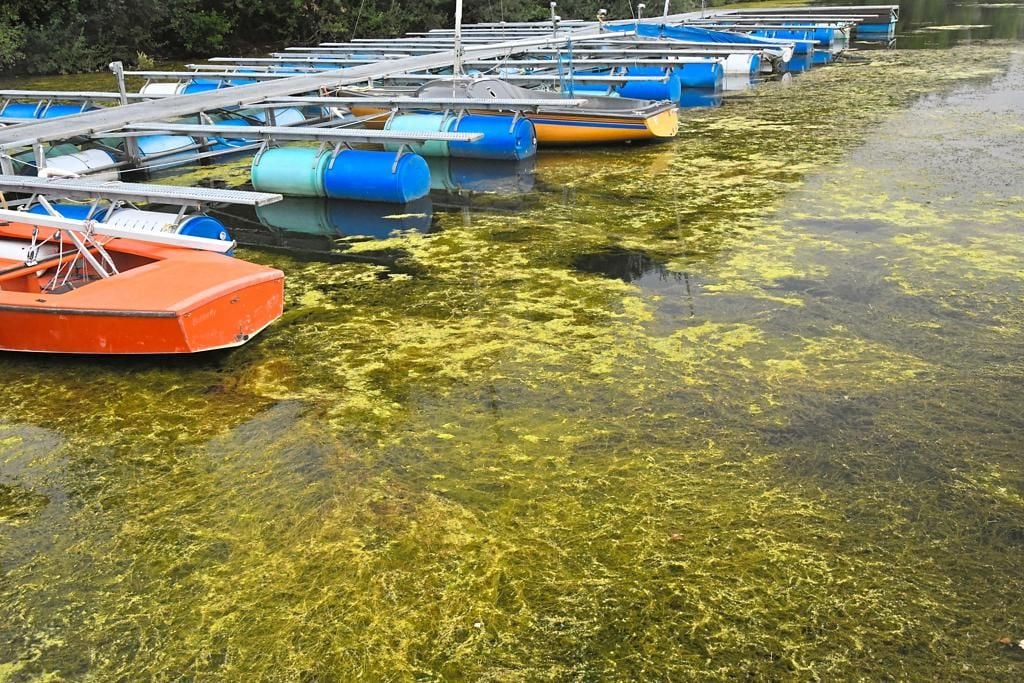Kippt jetzt auch der Hiltruper See?
