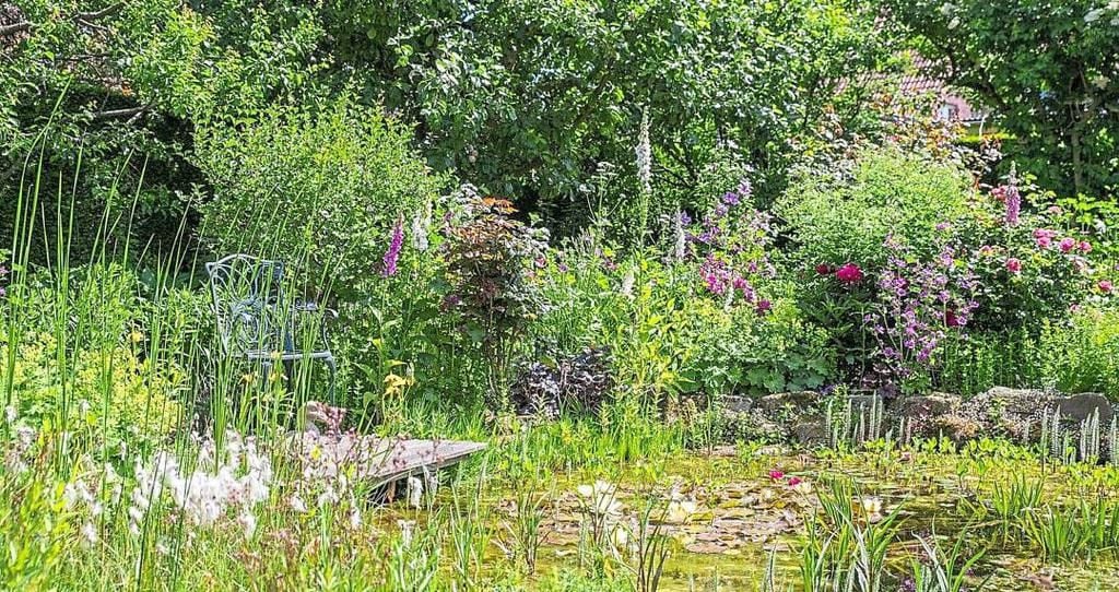 NaturgartenIdee im Aufwind