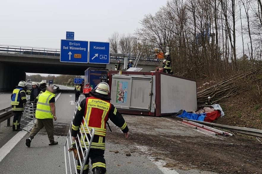 A33: Schweinetransporter Umgekippt