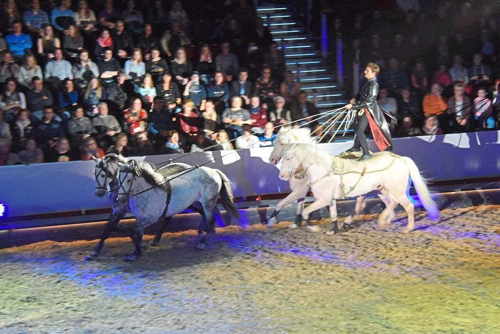 Spektakuläre Reitkunst