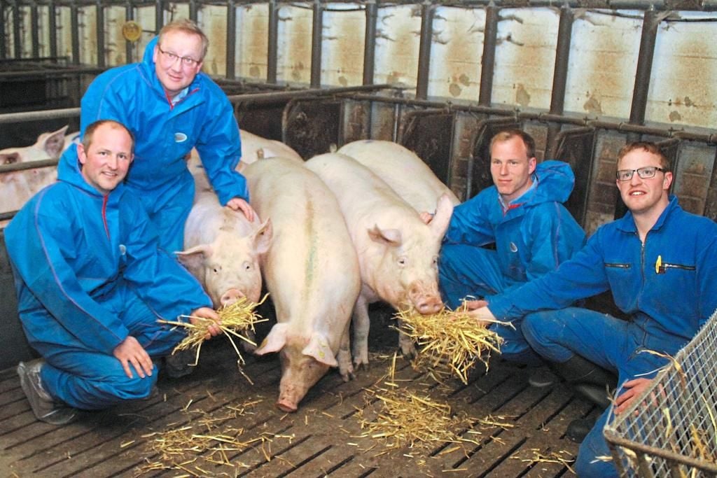 19 Höfe öffnen die Türen