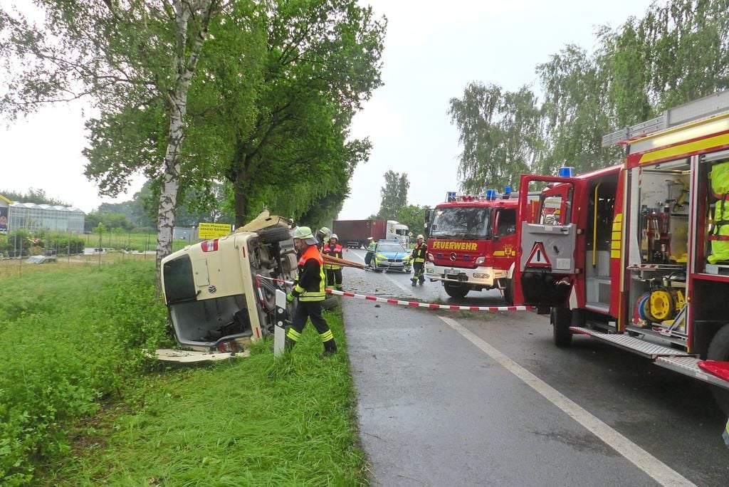 Taxi Prallt Gegen Baum