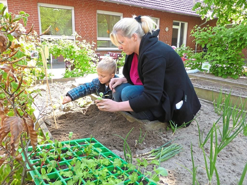 Kinder pflanzen und ernten selbst
