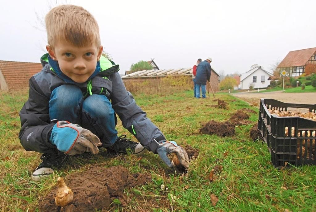 Den Frühling unter die Erde bringen