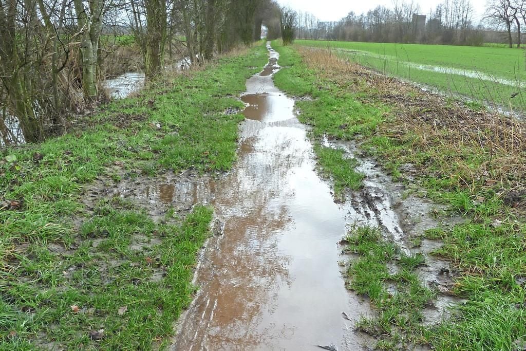 Ziegenpfad und Matschwüste