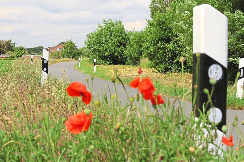 Neuer Anlauf für Planung der Eschstraße