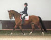 Ann-Kathrin Borghoff vom RV Drensteinfurt ging mit ihrem Pferd „Cahrlotte“ in Albersloh an den Start.