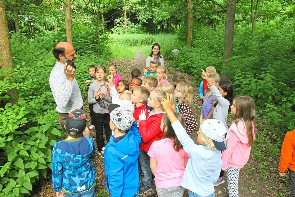 47+ Expedition Natur Entdeckungen An Bach &amp; Teich, Über 1.000.000