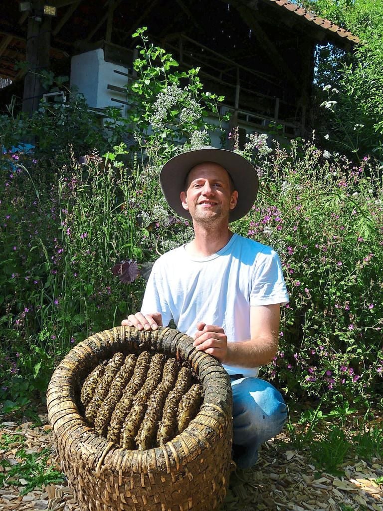 Durstige Bienen summen am Teich