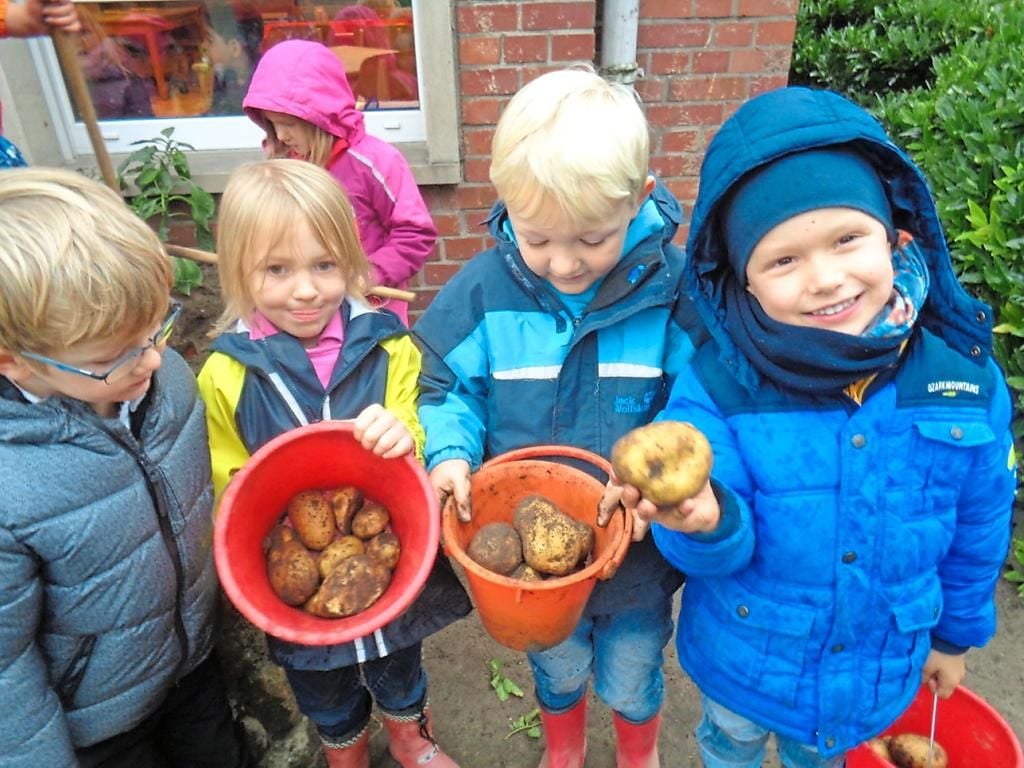 Die Knolle im Kindergarten