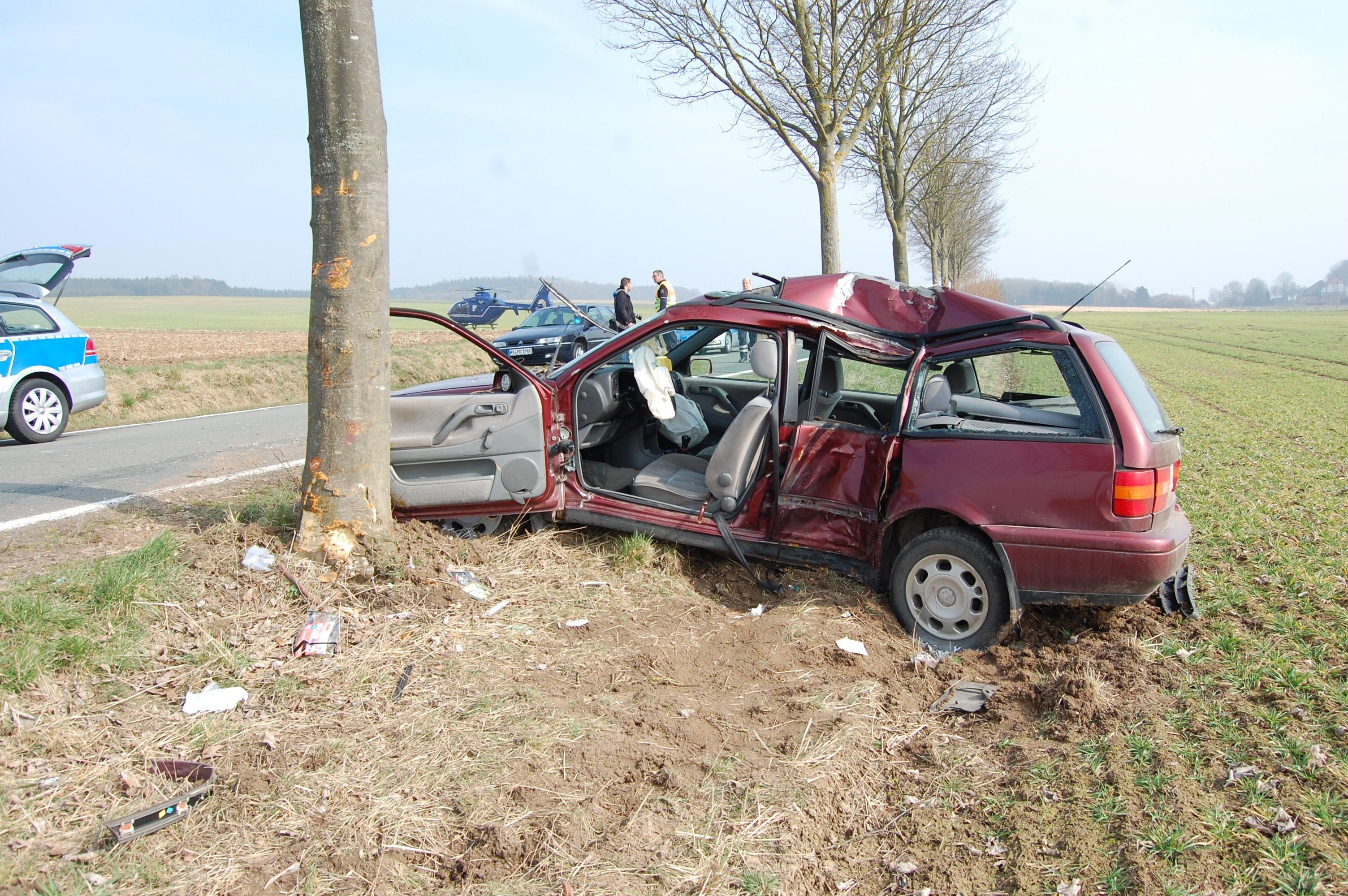 Gegen Baum Geprallt