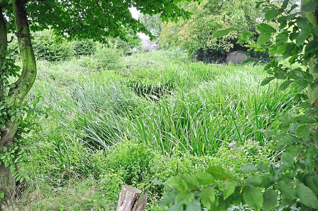 um den Seihofteich