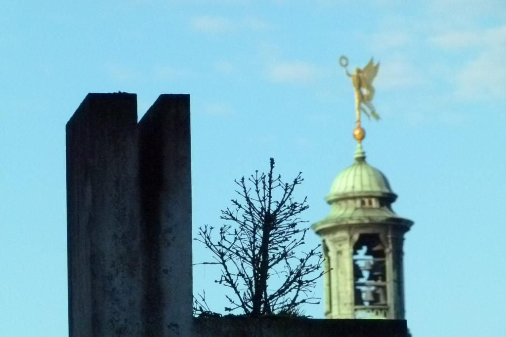 Münsters traurigster Tannenbaum