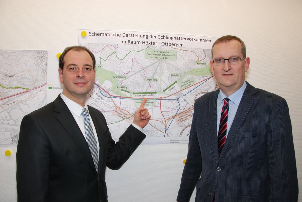 Bau der B64 hängt am Schlangenumzug