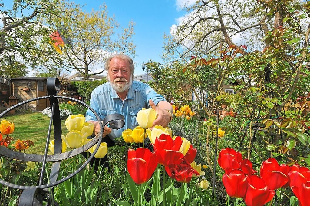 Münsters Kleingärten blühen auf