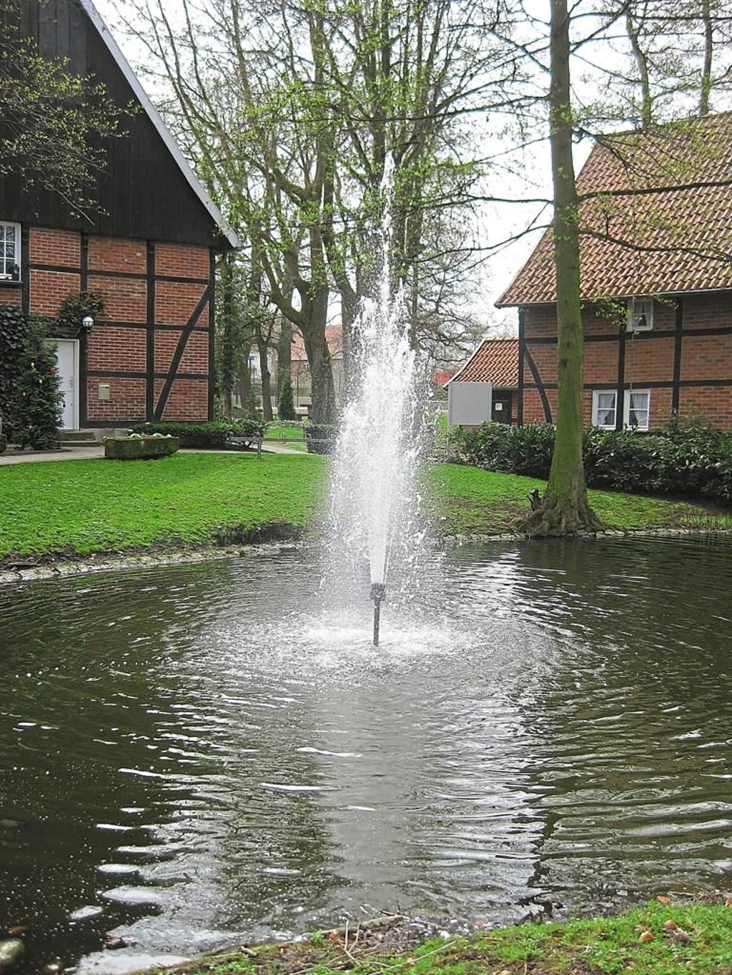 Fische verendeten im Teich