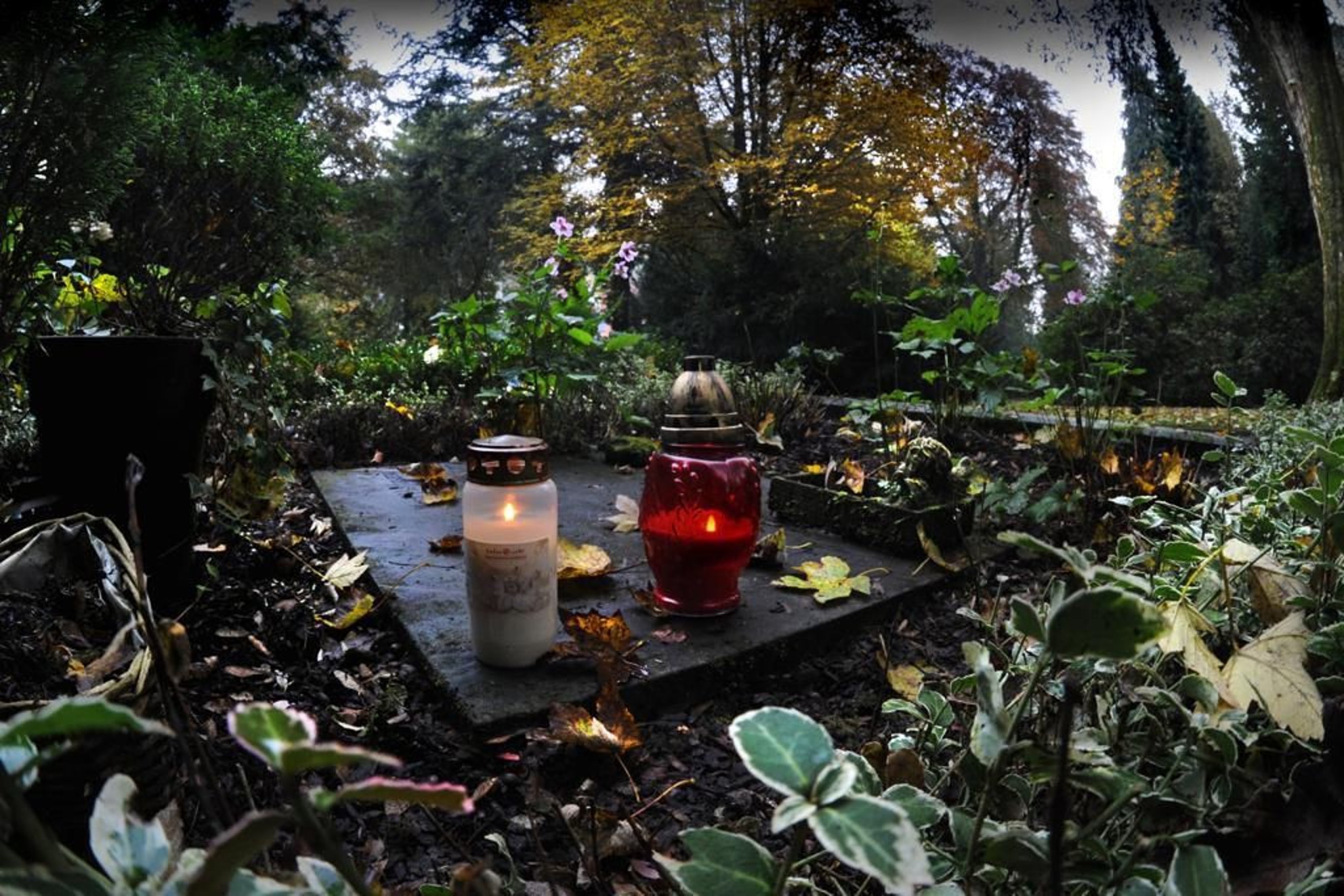 Deutschlands schönster Friedhof
