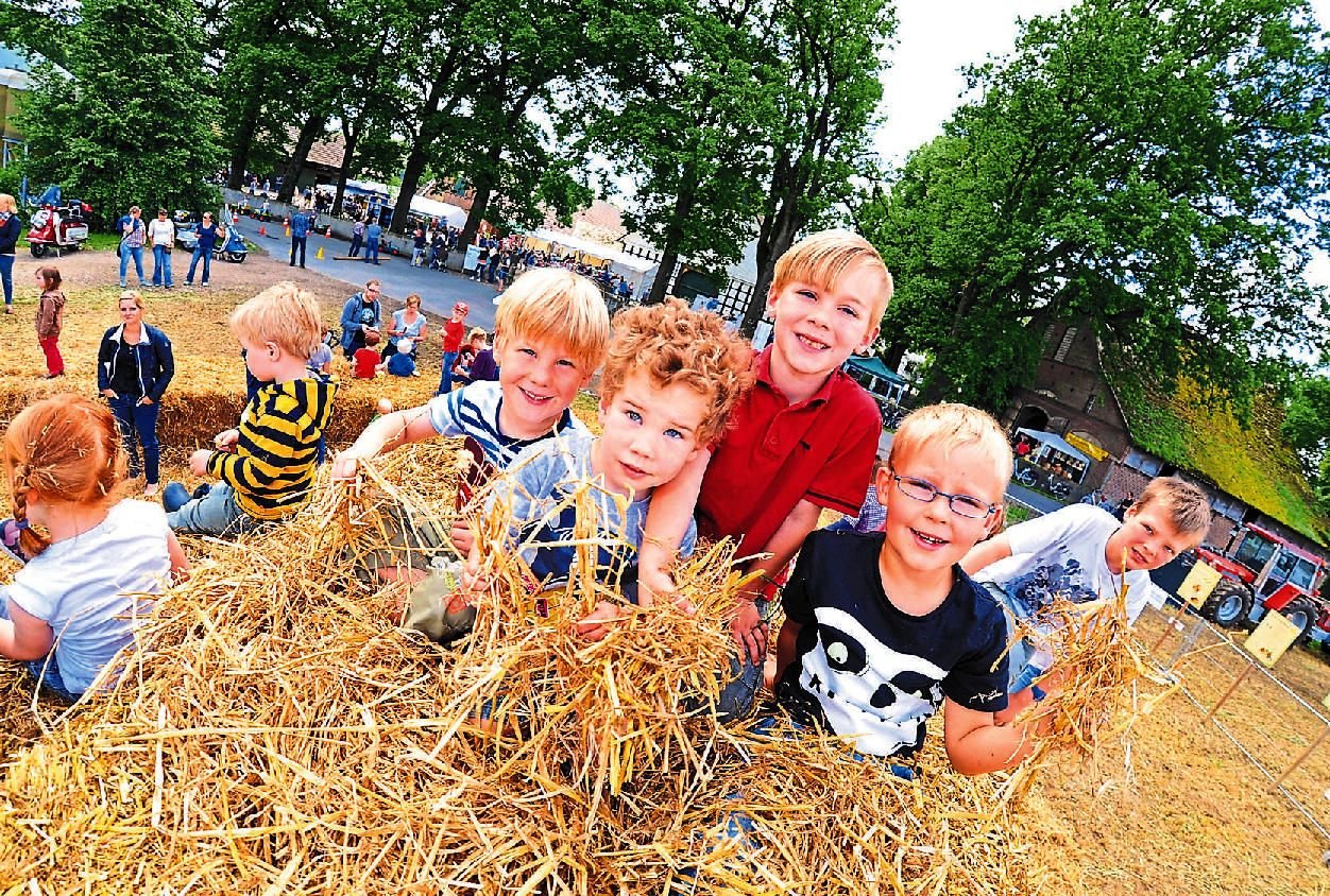 5000 Besucher beim Hoftag