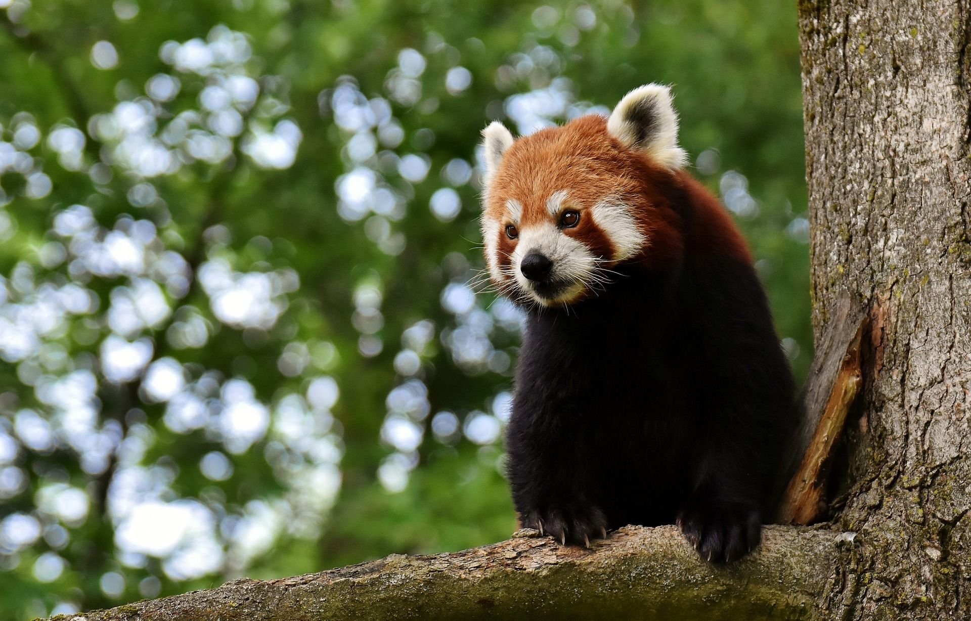 Zoos, Tierparks Und Wildgehege In Münster, Rheine, Isselburg, Reken ...