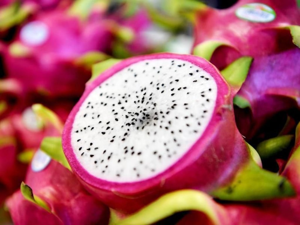 Farbe der Drachenfrucht sollte leuchtend-rot sein