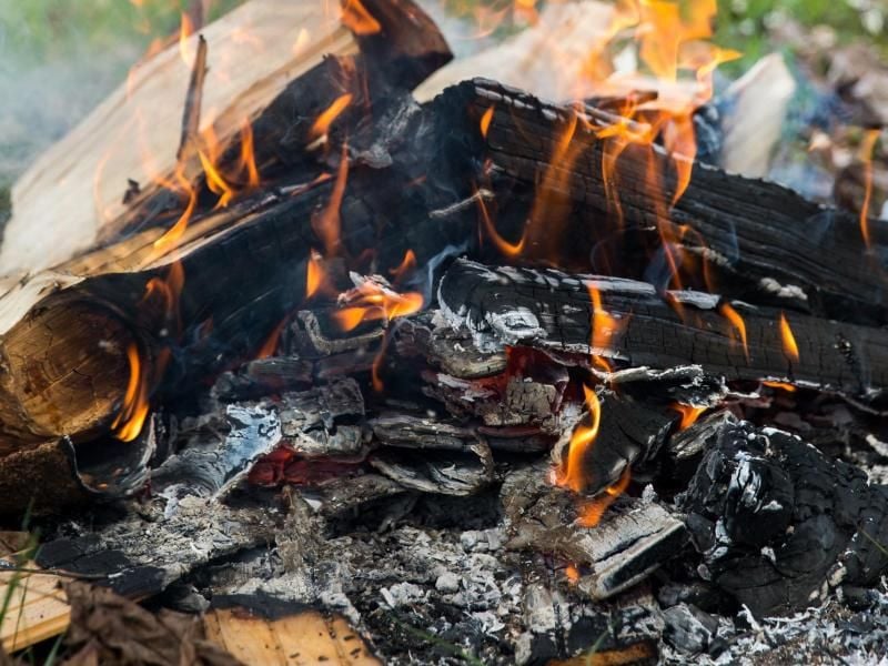 Für Lagerfeuer im Garten das richtige Holz verwenden
