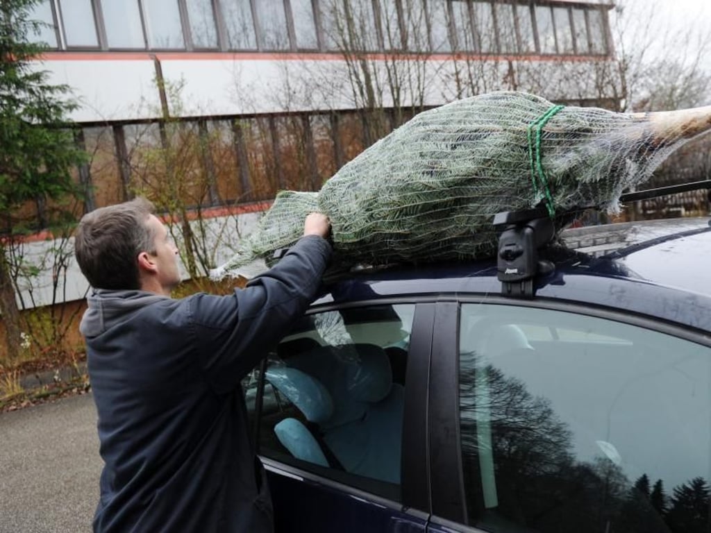 Wie transportieren Autofahrer den Weihnachtsbaum sicher?