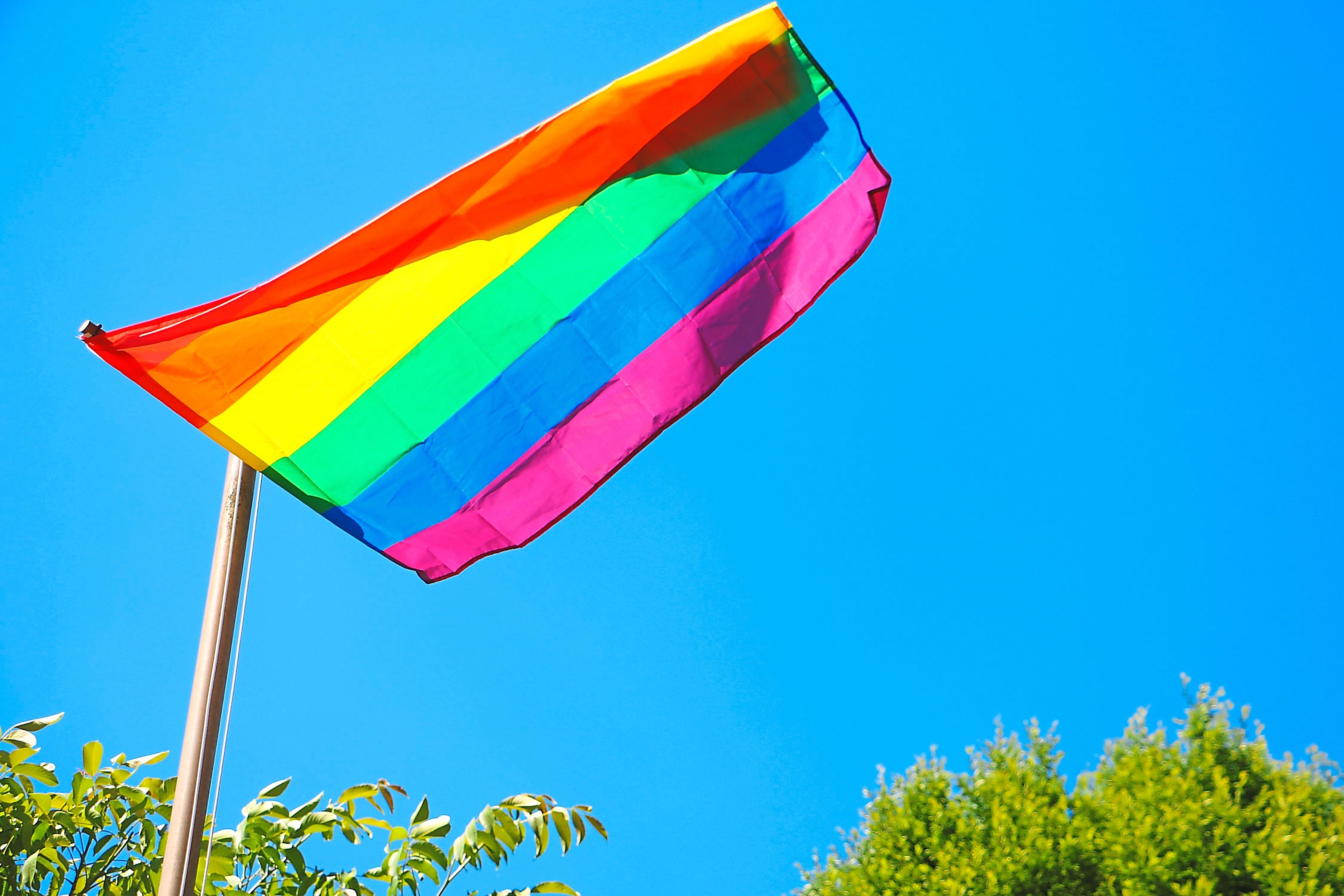 AfD-Antrag: Deutsche Flagge statt Regenbogen-Ideologie an Schulen