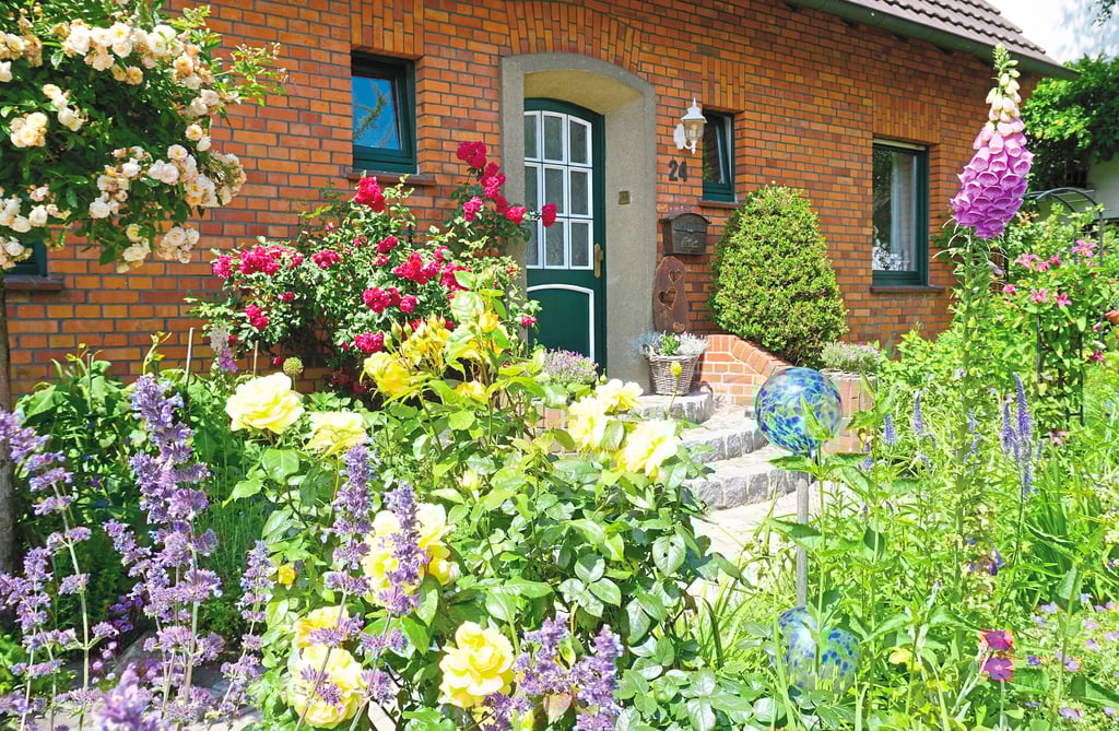Naturnahe bieten Insekten ein Zuhause